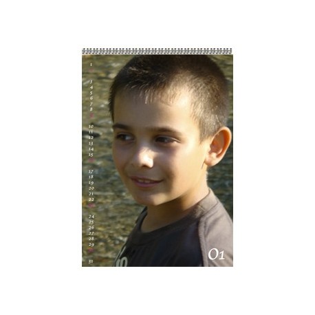 Calendar personalizat de perete CALP015