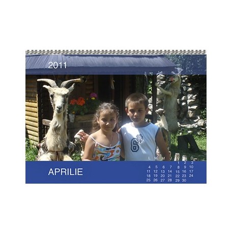 Calendar personalizat de perete CALP018