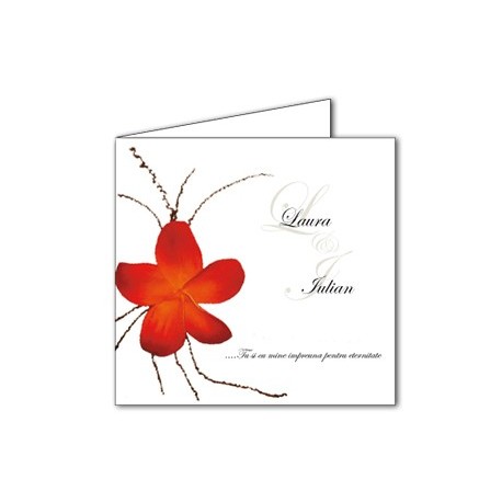 Invitatii de nunta personalizate INVN002