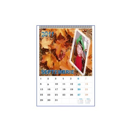 Calendar personalizat de perete CALP024