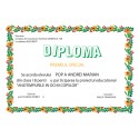 Diploma APD002