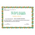 Diploma APD002