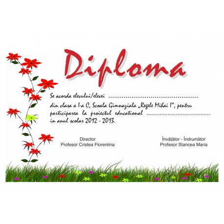 Diploma APD004