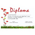 Diploma APD004