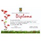 Diploma APD005
