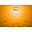 Diploma APD007