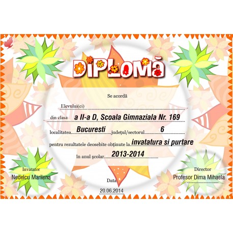 Diploma APD007